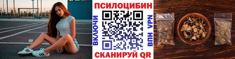 закладка Тобольск Галлюциногенные грибы Psilocybe